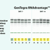 GENTEGRA RNADVANTAGE™ - 图片 2
